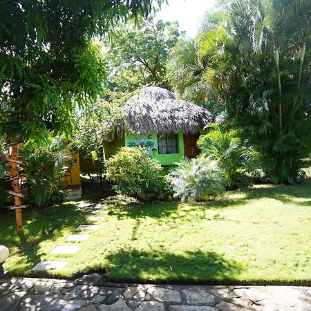 Hotel Mariposa León エクステリア 写真