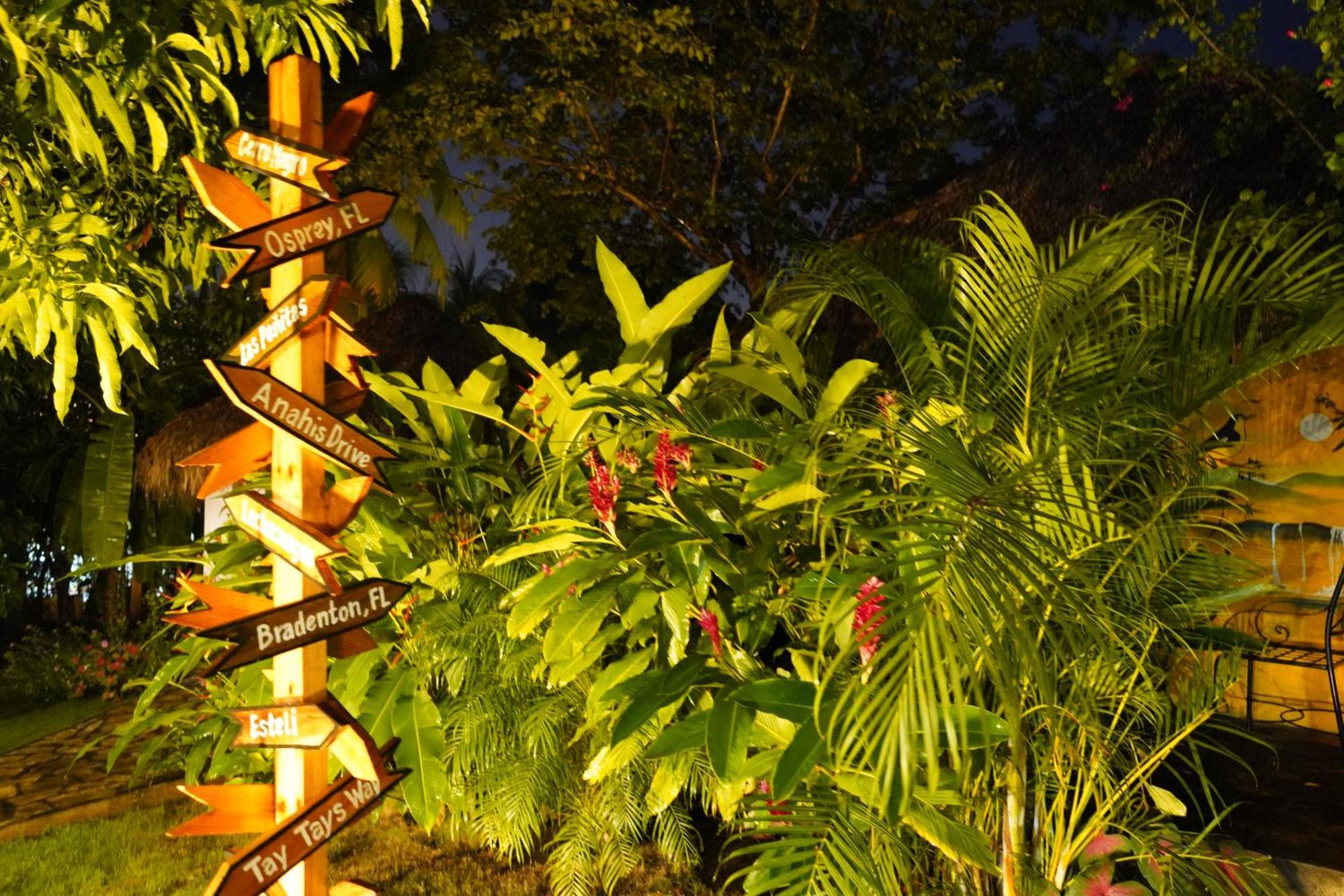 Hotel Mariposa León エクステリア 写真