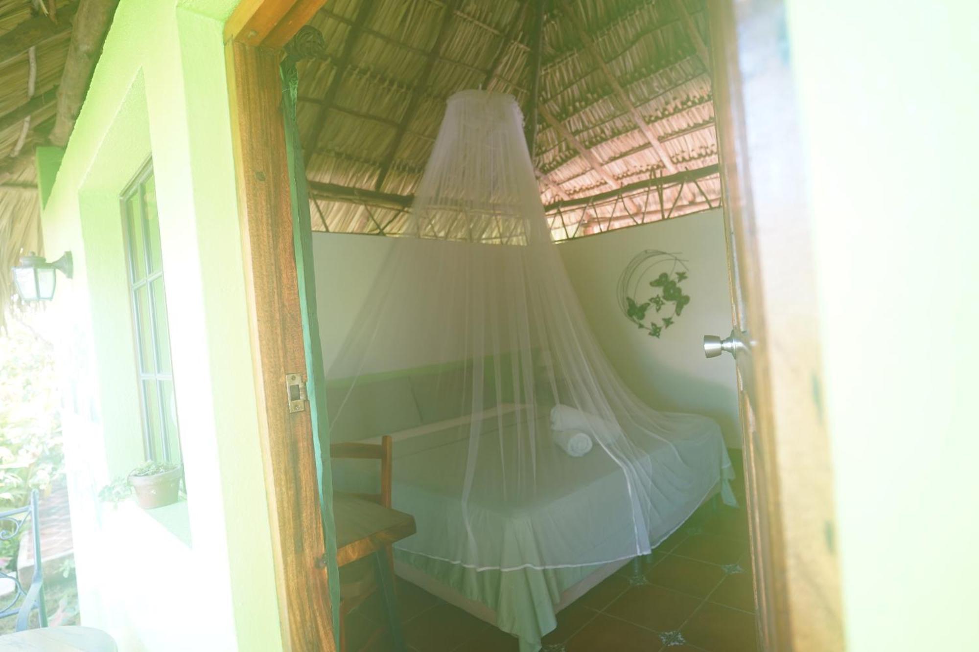 Hotel Mariposa León エクステリア 写真