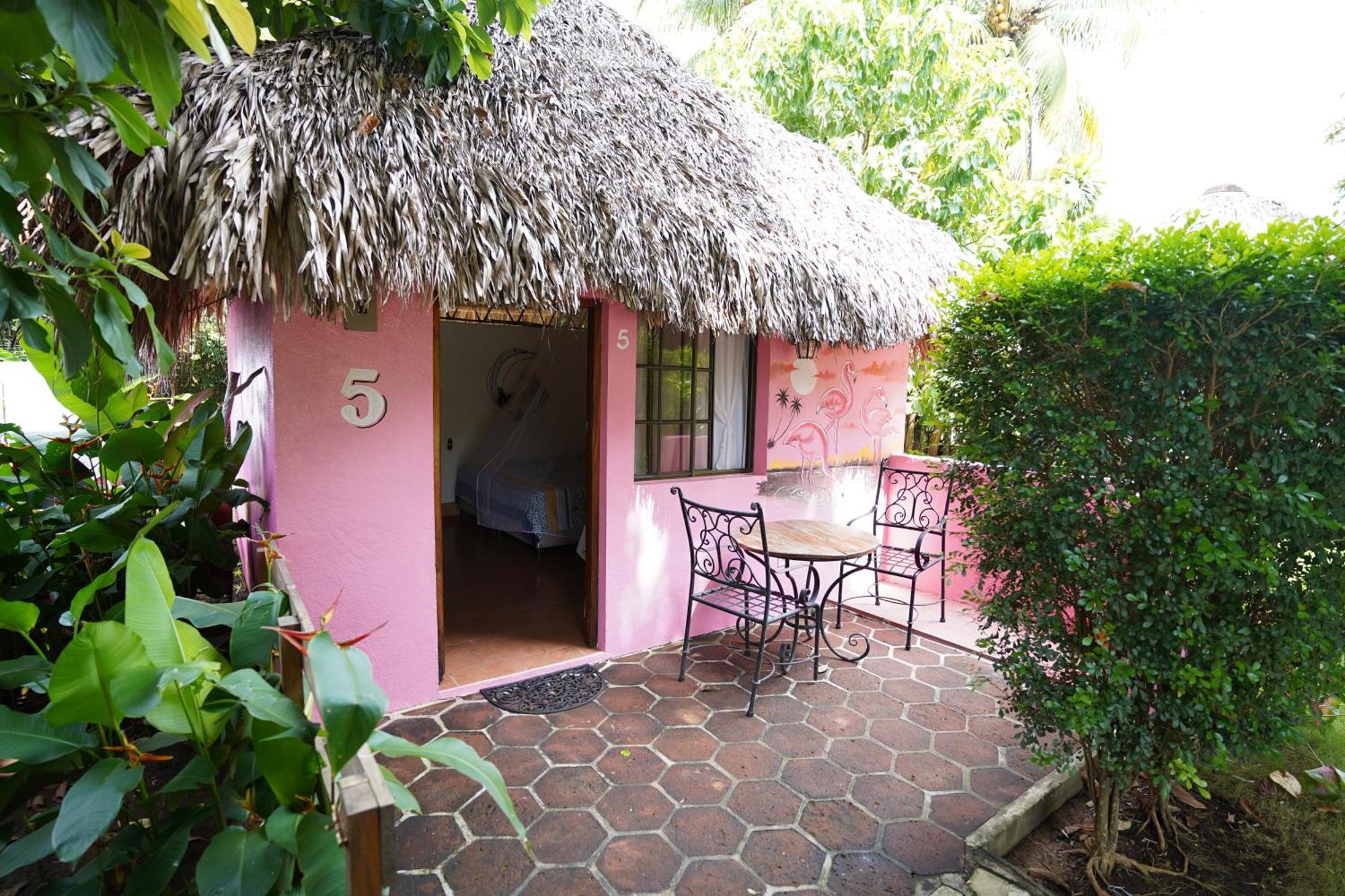 Hotel Mariposa León エクステリア 写真