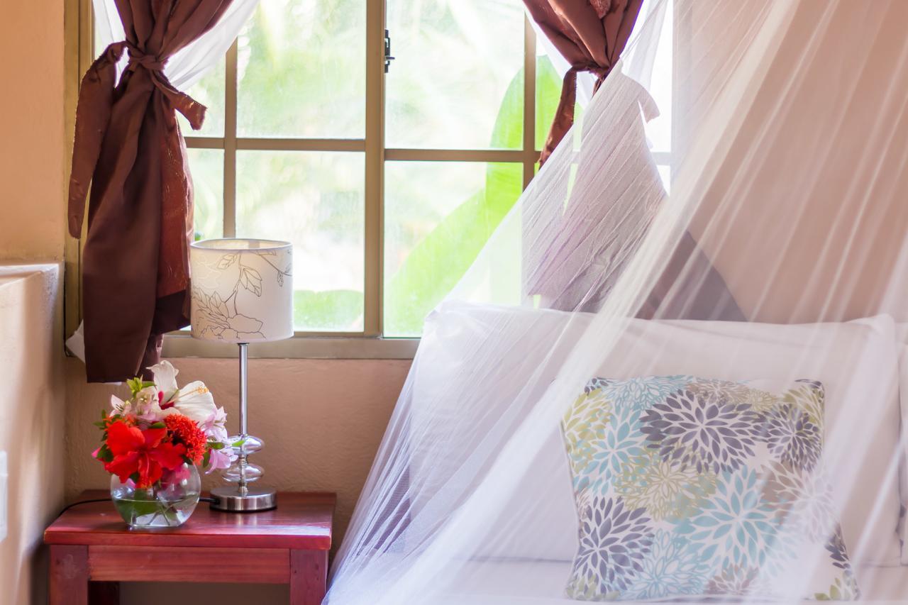 Hotel Mariposa León エクステリア 写真