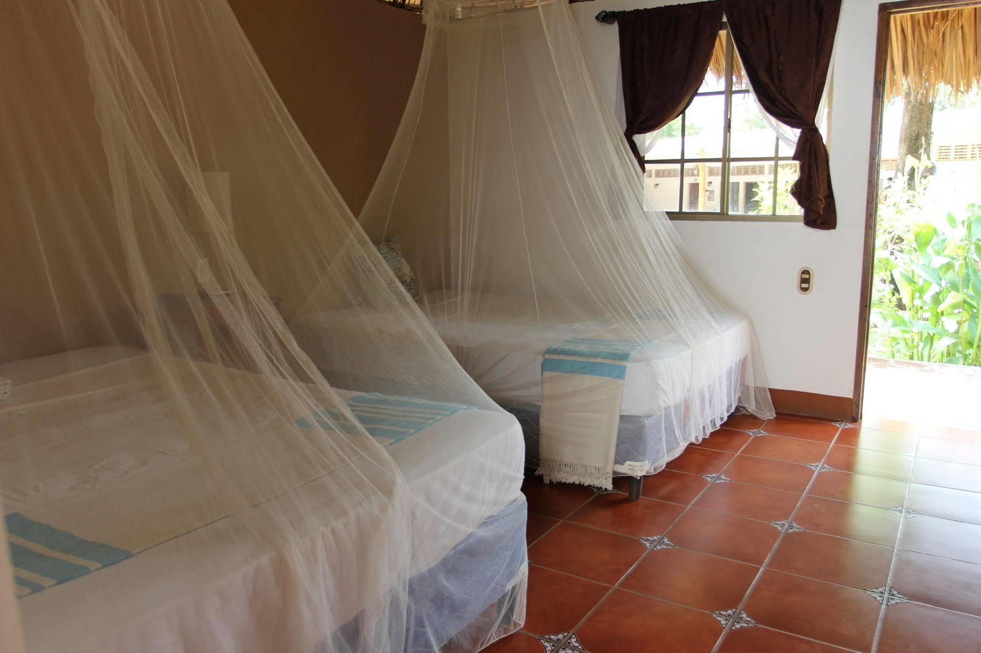 Hotel Mariposa León エクステリア 写真