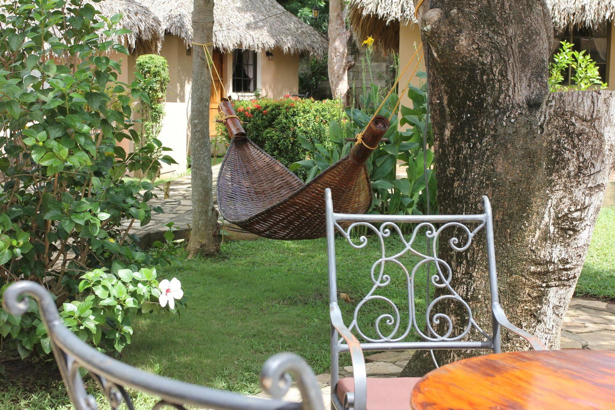Hotel Mariposa León エクステリア 写真