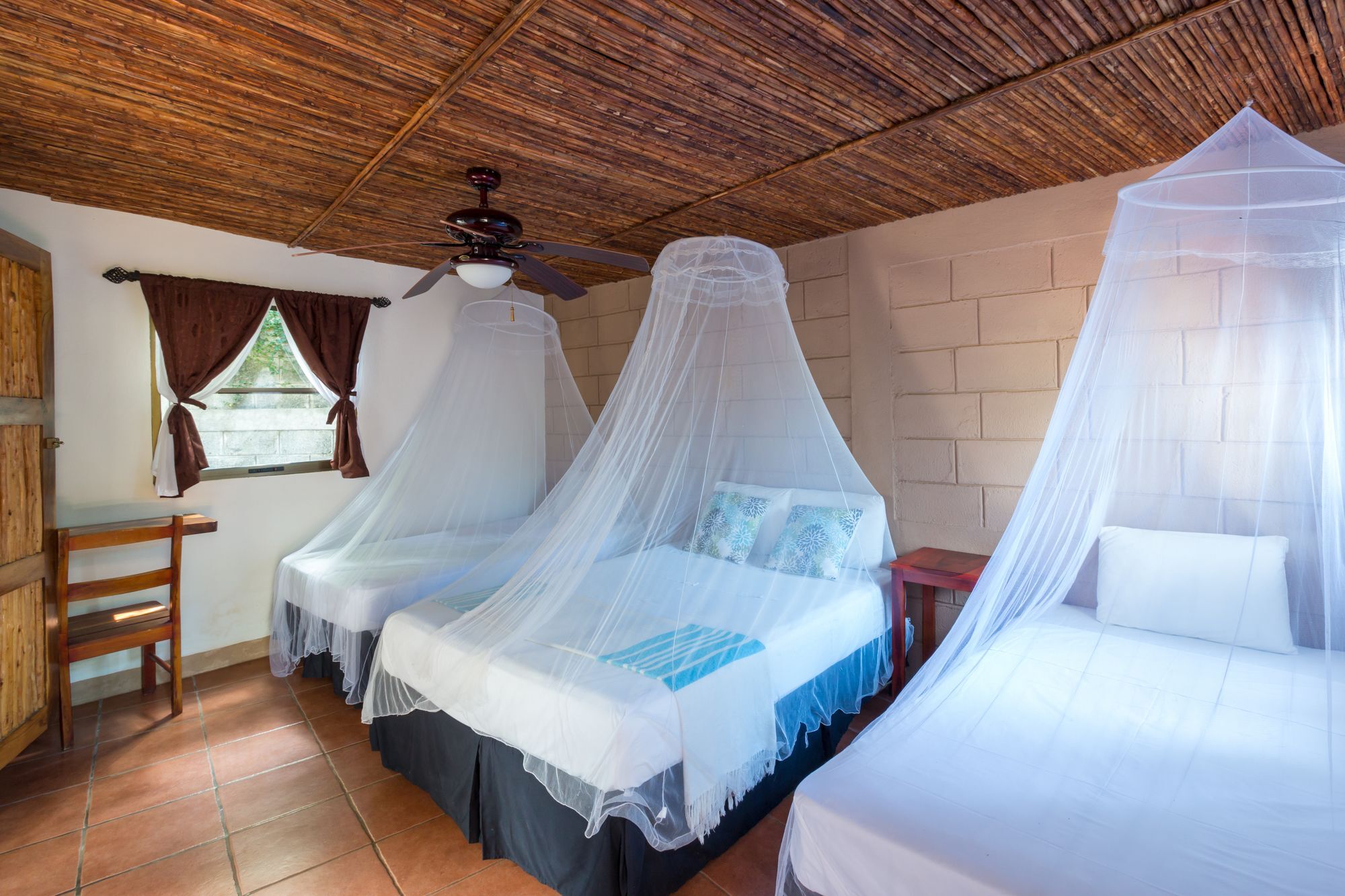 Hotel Mariposa León エクステリア 写真
